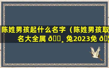 陈姓男孩起什么名字（陈姓男孩取名大全属 🌸 兔2023免 🦁 费）